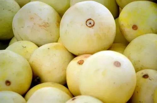 吃瓜的梨蕾,探寻夏日消暑美食之旅