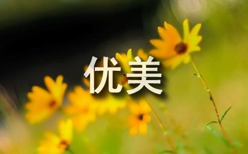 吃瓜优美句子简短,品味生活，笑谈人间