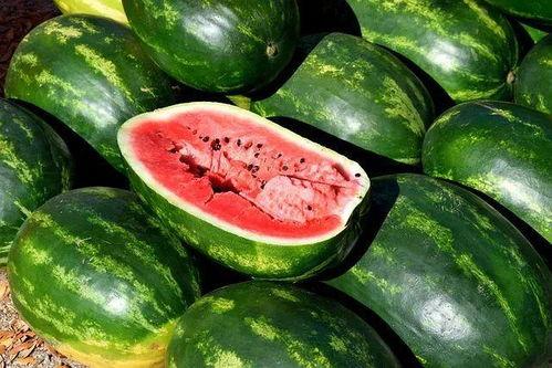 吃瓜客水果,品味夏日清新，解锁健康生活新篇章