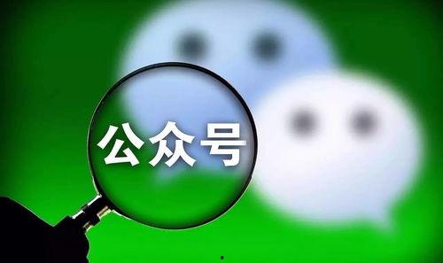 迅哥吃瓜公众号,揭秘娱乐圈最新热点，带你领略明星幕后故事