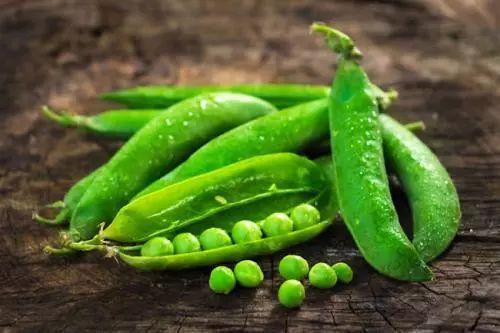 豆吃瓜,揭秘豆类与瓜类食材的奇妙搭配与营养奥秘