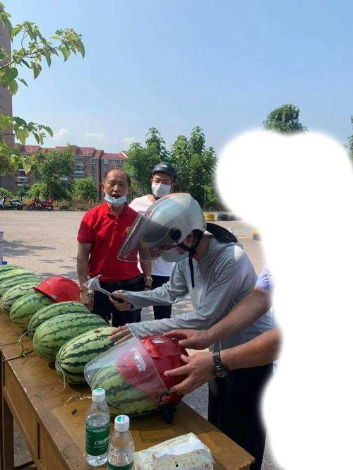 蓬莱最近吃瓜事件,揭秘近期热议事件背后的真相