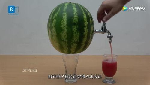 商城城吃瓜,吃瓜群众的欢乐盛宴