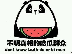 吃瓜大朋友,揭秘吃瓜大朋友的趣味生活