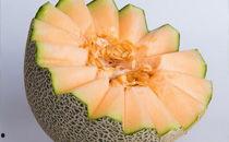 螃蟹能和哈密瓜一起吃